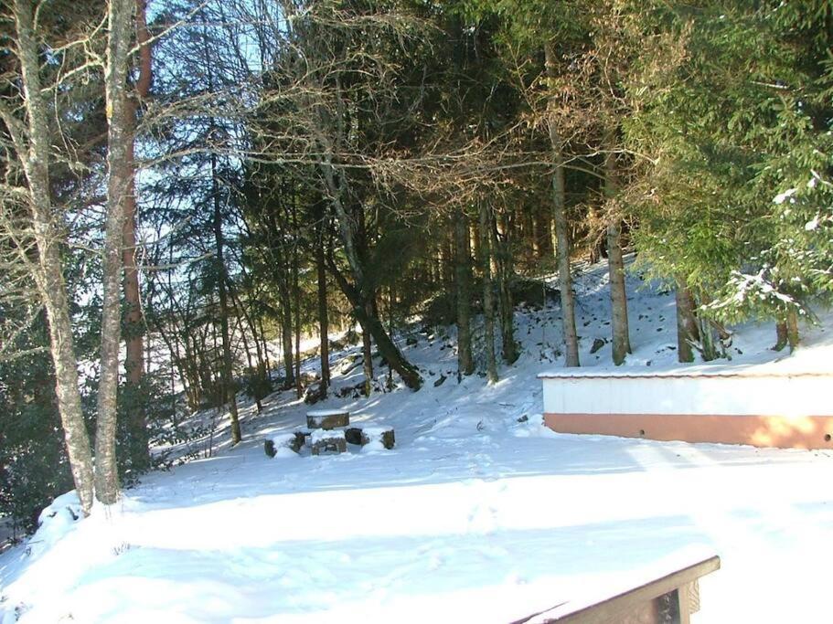 Maison D'Altitude Avec Vue Panoramique A Gérardmer Eksteriør bilde
