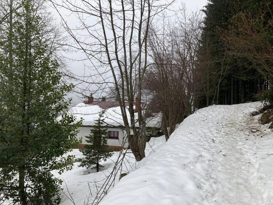 Maison D'Altitude Avec Vue Panoramique A Gérardmer Eksteriør bilde