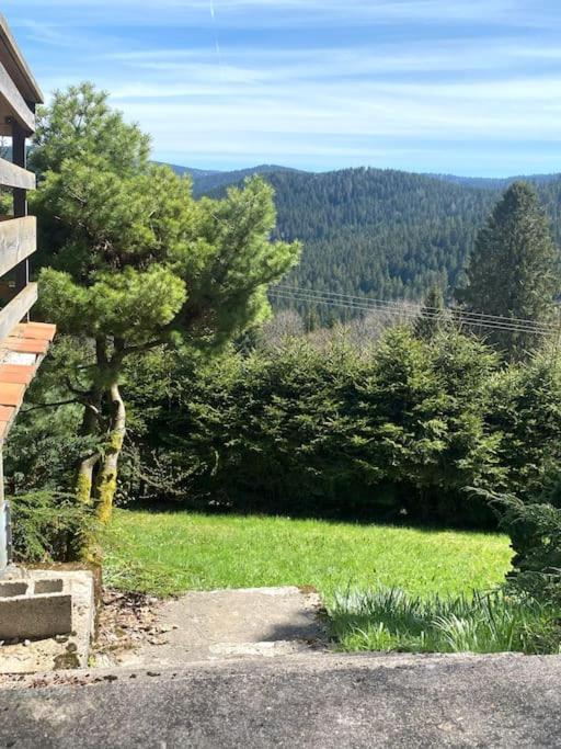 Maison D'Altitude Avec Vue Panoramique A Gérardmer Eksteriør bilde